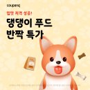 올바른파트너스