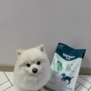 진성사료 이미지