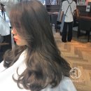 그레이헤어하우스 이미지
