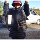 등대바다낚시터 이미지