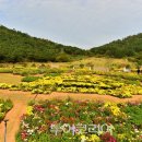 죽림서정이네 투어코리아