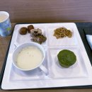 동안육교 하부 | [시즈오카여행#4] 시즈오카 여행 필수 핫플레이스 꿈의대교 후기 (feat. 신칸센을 타고 도쿄역으로)