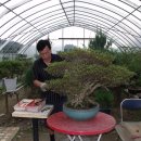 푸른들농장 이미지