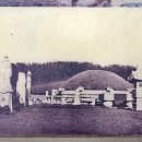 서울 성북구 의릉-천장산, 동대문구 홍릉숲 ('26.5.17) 이미지