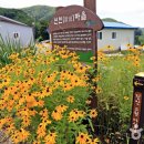 닥실마을 이미지