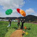 GS25 예천강변점 | [경북/축제]2026년 4~5월 예천 회룡포 봄나들이 축제 2026 총정리｜프로그램·주차·맛집·회룡포...