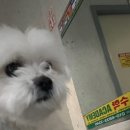 메가커피 금곡중앙점