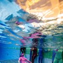 용운국제수영장 이미지