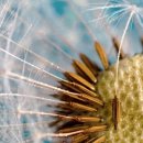 행정사사무소 한강 이미지