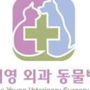 카카오 동물병원 이미지