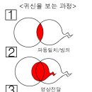 제마수련의 기본 이미지