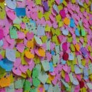 나은 강아지나라 이미지