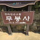 태극건설중기 | 54. 밀양 무봉사(舞鳳寺)의 태극 나비를 기다리다