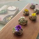 찬우물농장 이미지