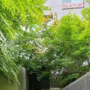 산내마을9단지 운정힐스테이트 이미지