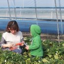 쌍림농장 이미지