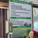 청도 미나리삼겹살 한재골가든 매년 가는 부모님이 인정한 맛집