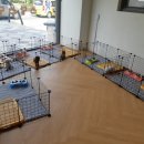 쓰담쓰담애견샵 이미지