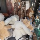 홈플러스 원주점(1층) 이미지