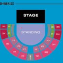 신남체육관 | 노벨브라이트 내한 공연 후기 NOVELBRIGHT LIVETOUR 2025 in Seoul - 잠실학생체육관 스탠딩800번대 시야