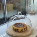 완산-36 | 전주 인생 치즈케이크 동영커피, 완산칠봉꽃동산