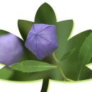 논현2-107 이미지