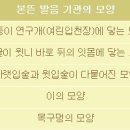 한글 이미지