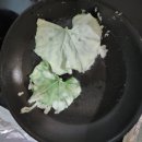 박잎 부침 이미지