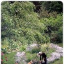 타샤의 정원 이미지