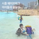 시흥 웨이브파크 아이와 다녀온 후기｜준비물부터 동선까지 총정리