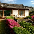 황토펜션 이미지