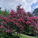 아름다운날 이미지