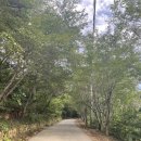 영남목장 이미지