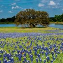 my drink museum 이미지