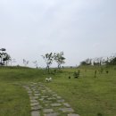 홍성IC(목포)