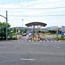 키즈시네마 6월 이미지