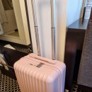 세븐일레븐 개봉한진점 | [도쿄 여행] 마지막 날 - 카이센동과 닛포리 고양이 마을, 여행은 끝날 때까지 끝난게 아니다