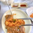 도가네칼국수 | 세종 고복저수지 맛집 국물이 시원한 대왕해물손칼국수