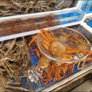 팔팔회센타 이미지