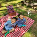 <즐거운 입학선물> 창작인형극 <파란토끼 룰루> | 포항 어린이날 행사와 체험 정보 알려드려요