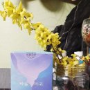 웰라핏 이미지