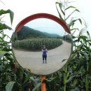 백석폭포 앞 이미지