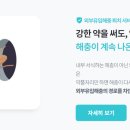 자바드림