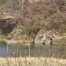 땅벗 공인중개사사무소 이미지