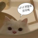 유한회사 가나관광여행사 | 안녕하세요 겨울 일본여행갑니다 #후쿠오카 🛫