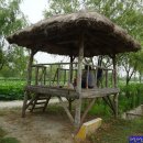 ＜부여＞하늘하늘의 특별한 고기 구이? 이미지