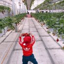 건이농장 이미지