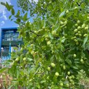 상곡1리마을회관 이미지