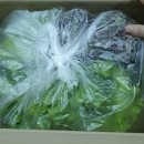 정진농장 이미지