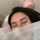 더디자인선 이미지